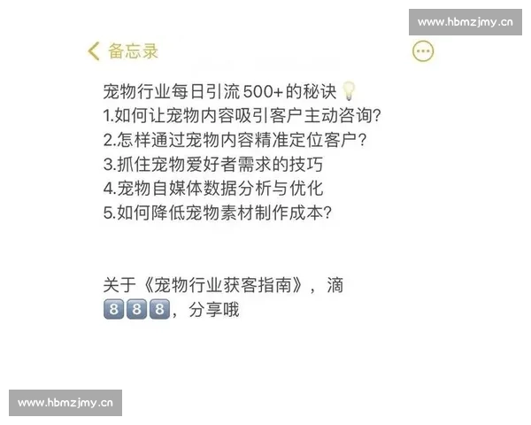 从零开始掌握百度网盘自媒体运营技巧一步步提高精准引流与内容创作能力